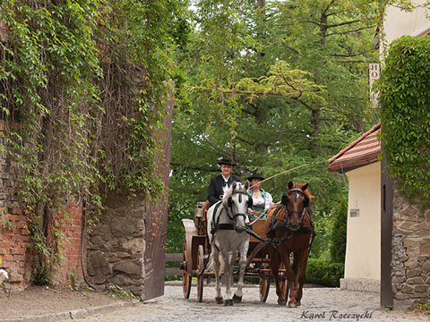 Michlhof - Ferienwohnungen Brotbackkurse Geschirrmobil