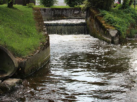 Michlhof - Ferienwohnungen Brotbackkurse Geschirrmobil